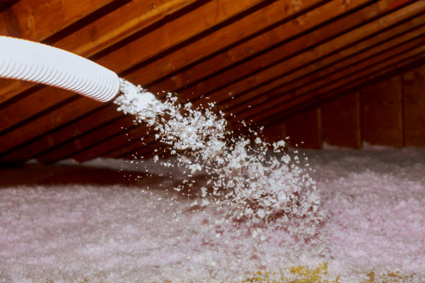 Best Insulation Materials and Products in De Leon Springs, FL