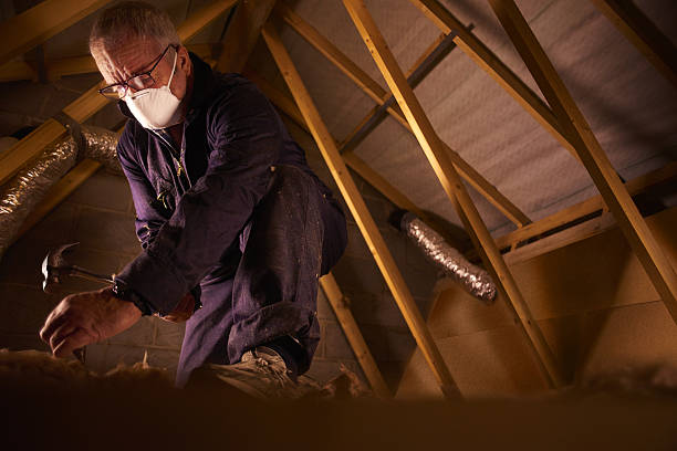 Best Commercial Insulation in De Leon Springs, FL